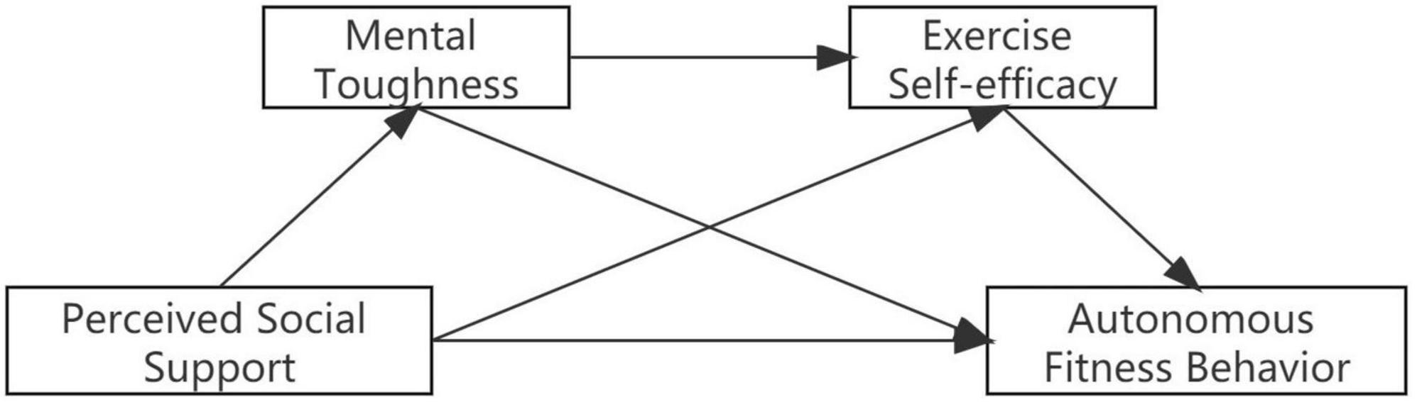 Exploring the relationship between perceived social support and college students’ autonomous fitness behavior: Chain mediating effect test